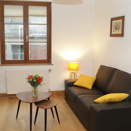 Apartment Au Buisson De Roses Colmar