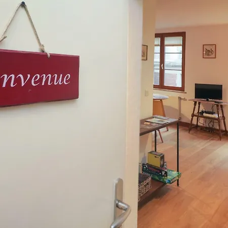 Au Buisson De Roses Apartment Colmar