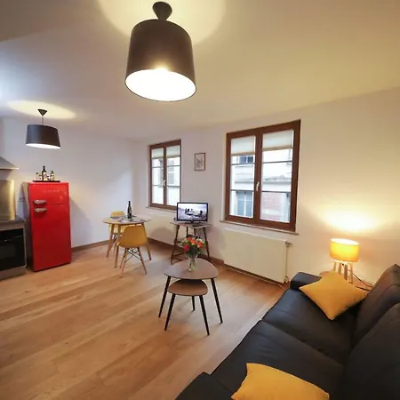 Au Buisson De Roses Апартаменти Кольмар