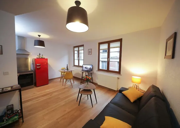 Au Buisson De Roses Apartmán Colmar